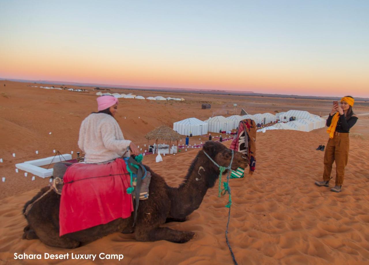 Sahara Desert Luxury Camp Merzuga Kültér fotó